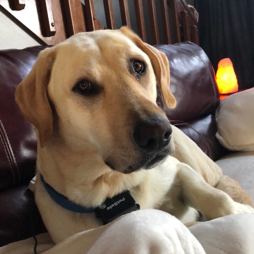 Meet your Posher, Melinda